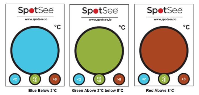 SpotCheck Phases